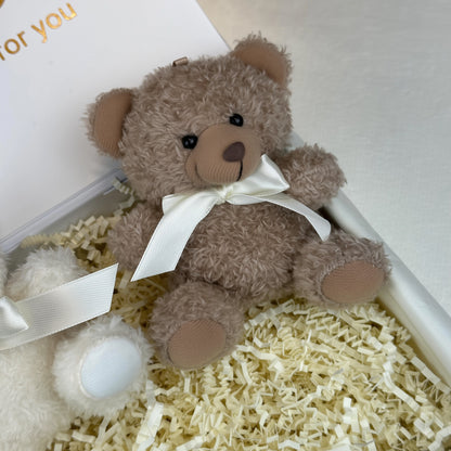 Velura Teddy Duo Box